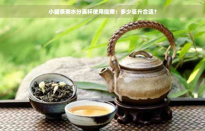 小罐茶茶水分离杯使用指南：多少毫升合适？