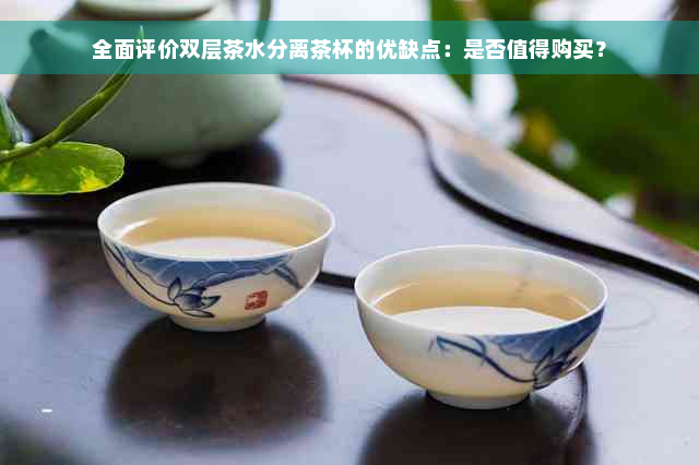 全面评价双层茶水分离茶杯的优缺点：是否值得购买？