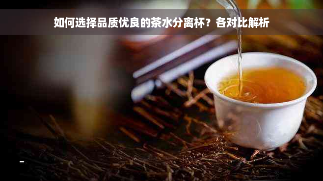 如何选择品质优良的茶水分离杯？各对比解析