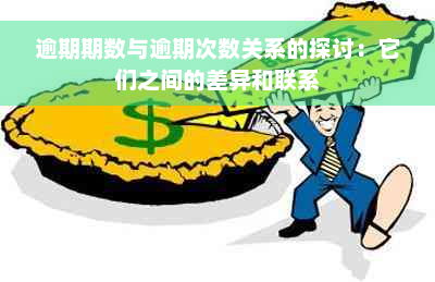 逾期期数与逾期次数关系的探讨：它们之间的差异和联系