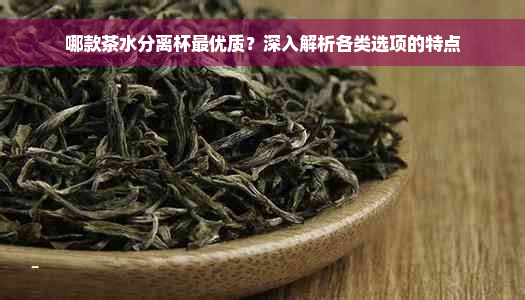 哪款茶水分离杯更优质？深入解析各类选项的特点