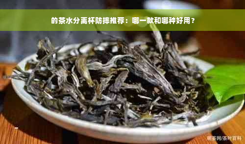 的茶水分离杯防摔推荐：哪一款和哪种好用？