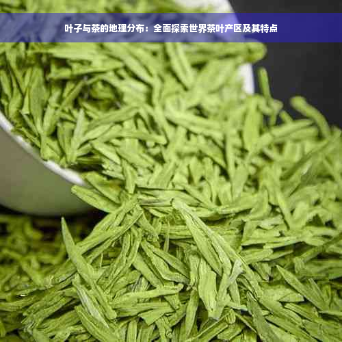 叶子与茶的地理分布：全面探索世界茶叶产区及其特点