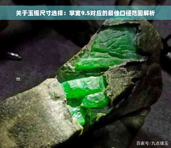 关于玉镯尺寸选择：掌宽9.5对应的更佳口径范围解析