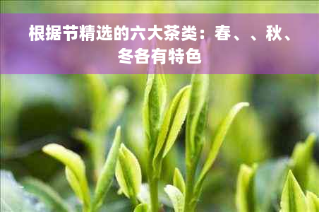 根据节精选的六大茶类：春、、秋、冬各有特色