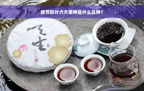 按节划分六大茶种是什么品种？