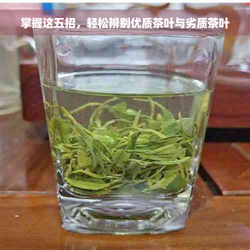 掌握这五招，轻松辨别优质茶叶与劣质茶叶