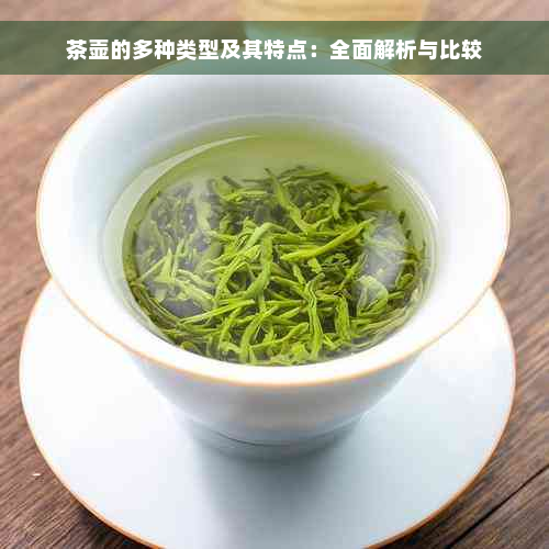 茶壶的多种类型及其特点：全面解析与比较