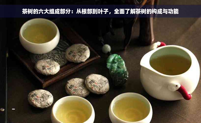 茶树的六大组成部分：从根部到叶子，全面了解茶树的构成与功能