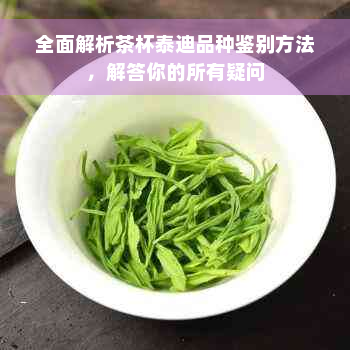 全面解析茶杯泰迪品种鉴别方法，解答你的所有疑问