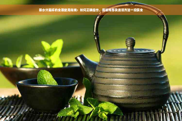 茶水分离杯的全面使用指南：如何正确操作、用量推荐及清洁方法一应俱全