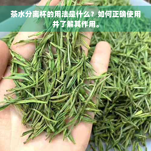 茶水分离杯的用法是什么？如何正确使用并了解其作用。