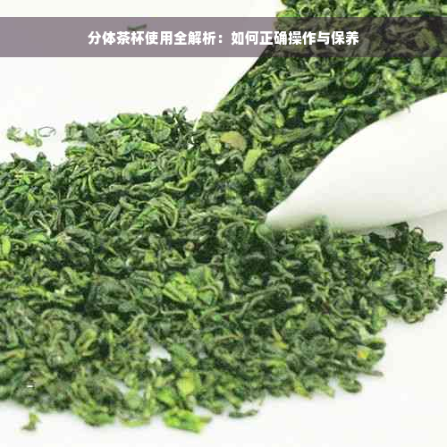 分体茶杯使用全解析：如何正确操作与保养