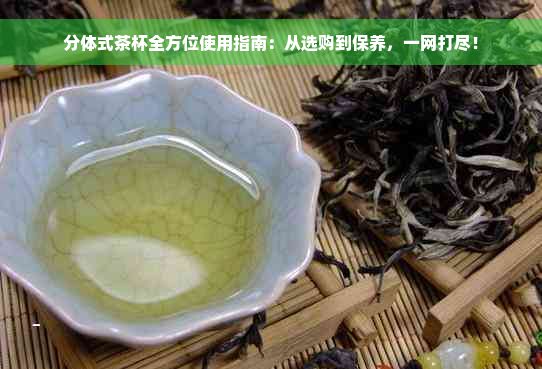 分体式茶杯全方位使用指南：从选购到保养，一网打尽！