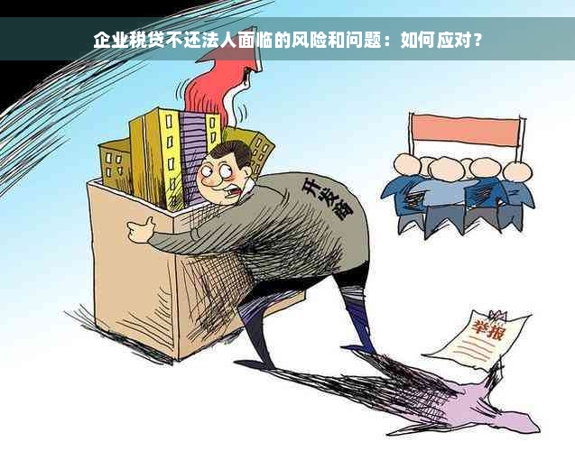 企业税贷不还法人面临的风险和问题：如何应对？