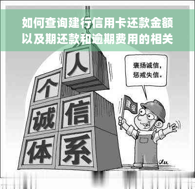 如何查询建行信用卡还款金额以及期还款和逾期费用的相关信息