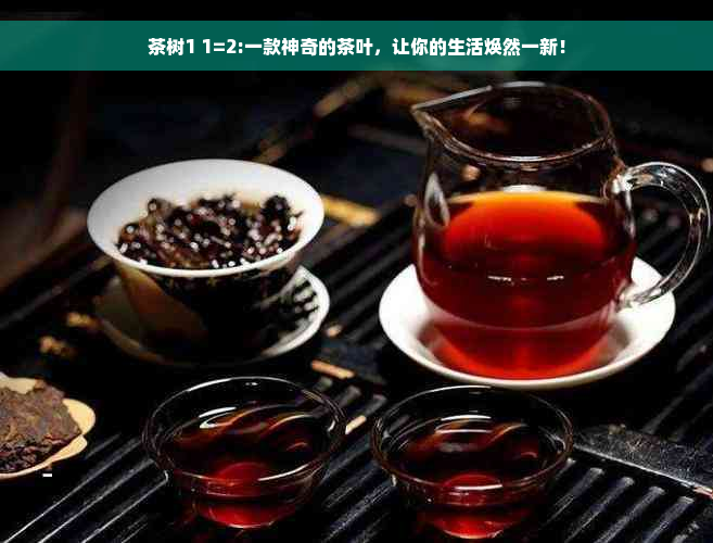 茶树1 1=2:一款神奇的茶叶，让你的生活焕然一新！