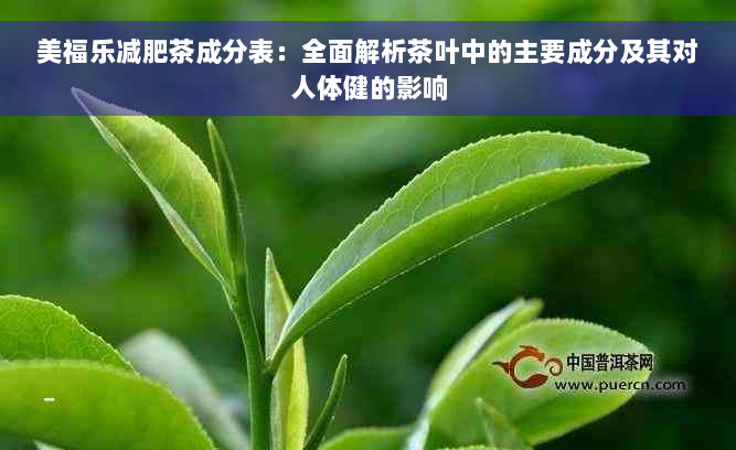 美福乐减肥茶成分表：全面解析茶叶中的主要成分及其对人体健的影响