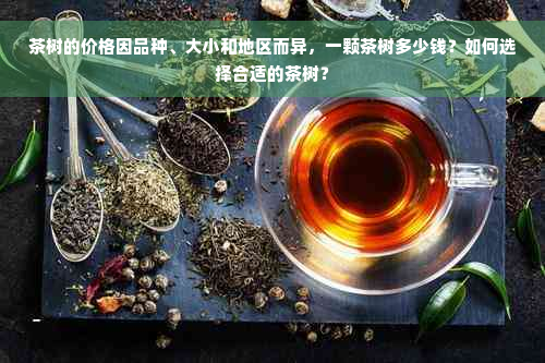 茶树的价格因品种、大小和地区而异，一颗茶树多少钱？如何选择合适的茶树？