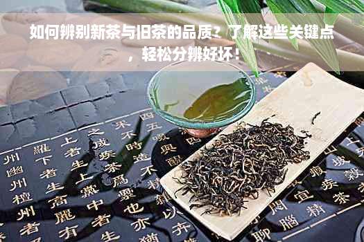 如何辨别新茶与旧茶的品质？了解这些关键点，轻松分辨好坏！