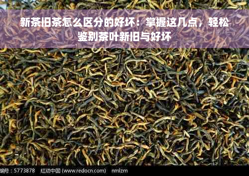 新茶旧茶怎么区分的好坏：掌握这几点，轻松鉴别茶叶新旧与好坏