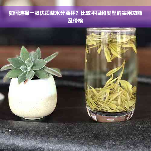 如何选择一款优质茶水分离杯？比较不同和类型的实用功能及价格