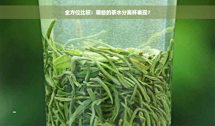 全方位比较：哪些的茶水分离杯表现？