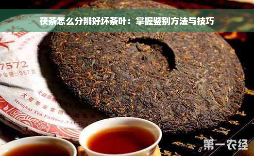 茯茶怎么分辨好坏茶叶：掌握鉴别方法与技巧