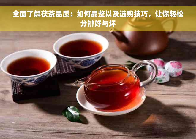 全面了解茯茶品质：如何品鉴以及选购技巧，让你轻松分辨好与坏