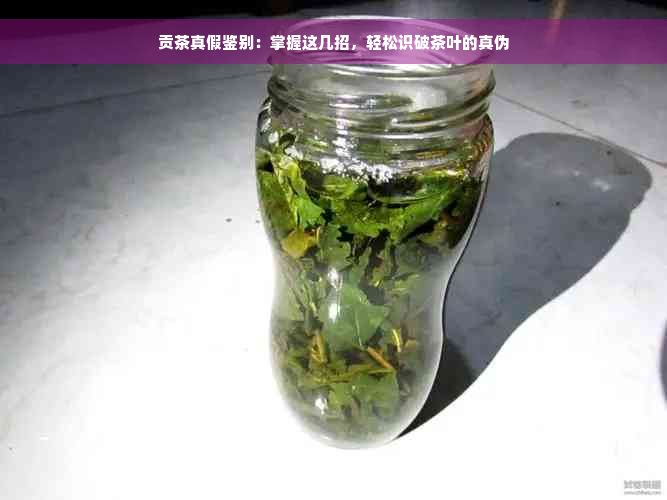 贡茶真假鉴别：掌握这几招，轻松识破茶叶的真伪