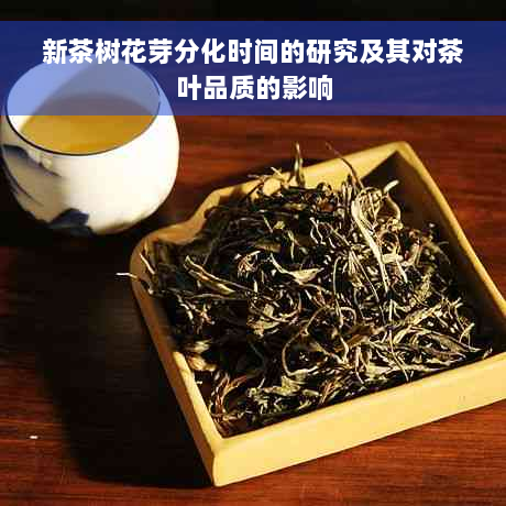 新茶树花芽分化时间的研究及其对茶叶品质的影响