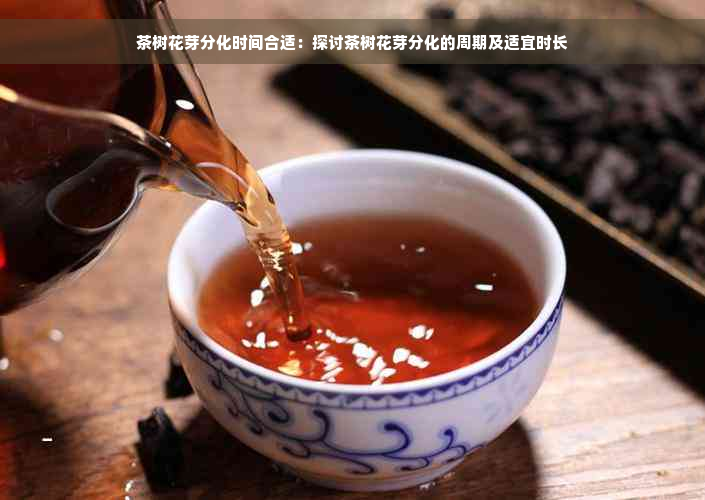 茶树花芽分化时间合适：探讨茶树花芽分化的周期及适宜时长