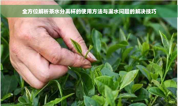 全方位解析茶水分离杯的使用方法与漏水问题的解决技巧