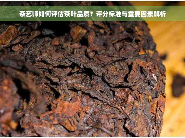 茶艺师如何评估茶叶品质？评分标准与重要因素解析