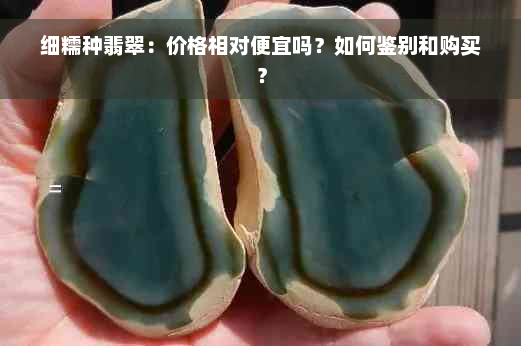 细糯种翡翠：价格相对便宜吗？如何鉴别和购买？