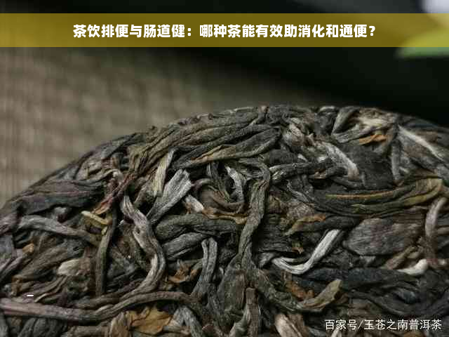 茶饮排便与肠道健：哪种茶能有效助消化和通便？