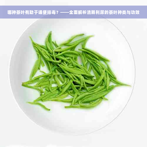 哪种茶叶有助于通便排毒？——全面解析清肠利尿的茶叶种类与功效