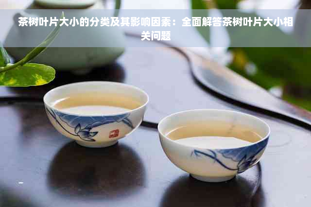 茶树叶片大小的分类及其影响因素：全面解答茶树叶片大小相关问题