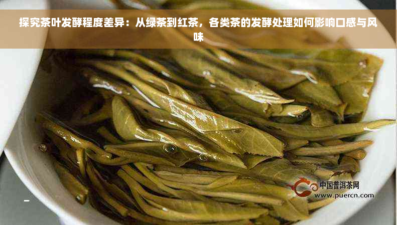 探究茶叶发酵程度差异：从绿茶到红茶，各类茶的发酵处理如何影响口感与风味