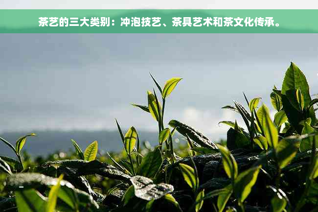 茶艺的三大类别：冲泡技艺、茶具艺术和茶文化传承。