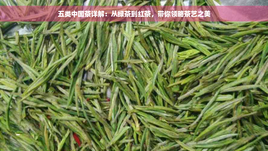 五类中国茶详解：从绿茶到红茶，带你领略茶艺之美