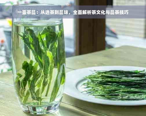 一壶茶品：从选茶到品味，全面解析茶文化与品茶技巧