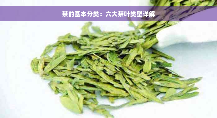 茶的基本分类：六大茶叶类型详解