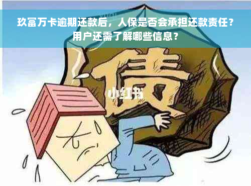 玖富万卡逾期还款后，人保是否会承担还款责任？用户还需了解哪些信息？