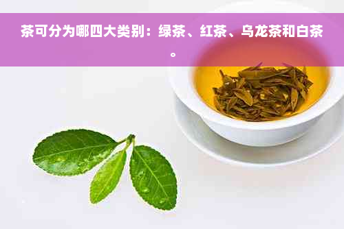 茶可分为哪四大类别：绿茶、红茶、乌龙茶和白茶。