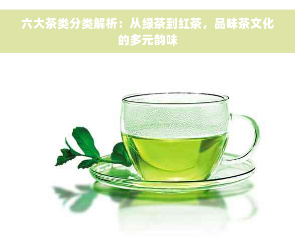 六大茶类分类解析：从绿茶到红茶，品味茶文化的多元韵味