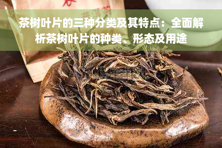 茶树叶片的三种分类及其特点：全面解析茶树叶片的种类、形态及用途