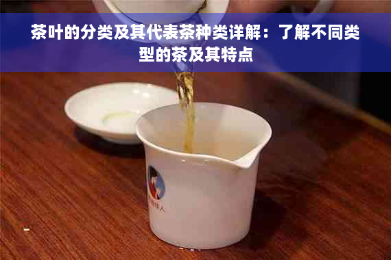 茶叶的分类及其代表茶种类详解：了解不同类型的茶及其特点