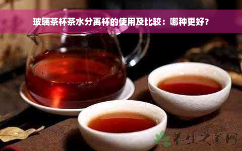 玻璃茶杯茶水分离杯的使用及比较：哪种更好？