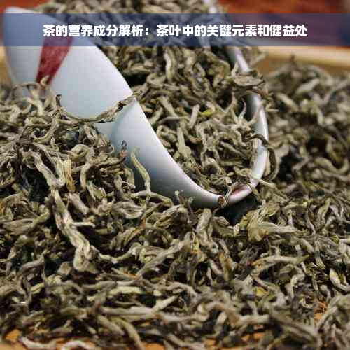 茶的营养成分解析：茶叶中的关键元素和健益处